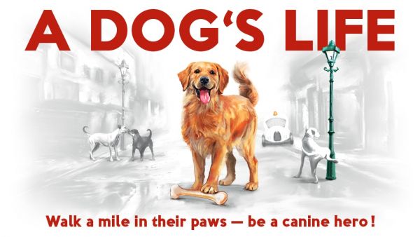 A Dog's Life