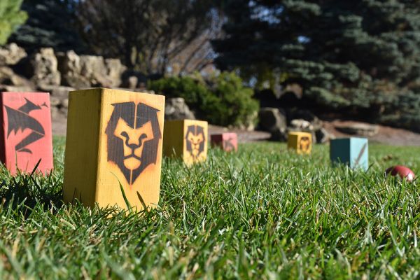 Kingdoms Lawn Game