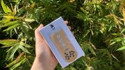 Tapiru: A Bubble Tea Game