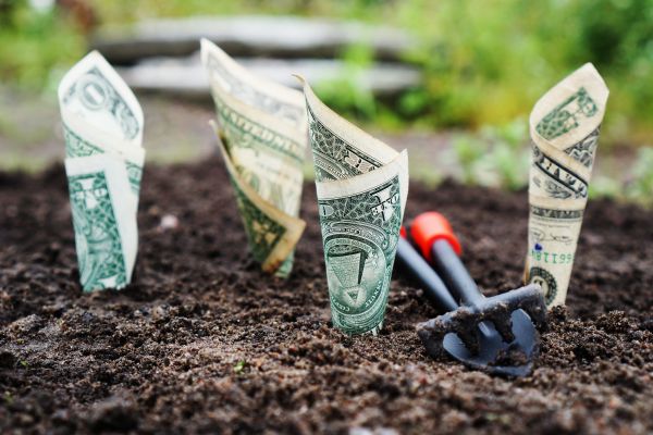 Money Harvest