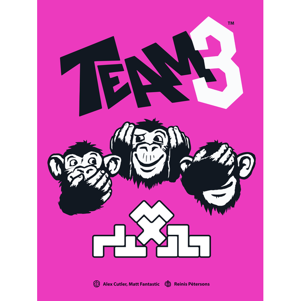TEAM3