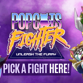 PopCats Fighter